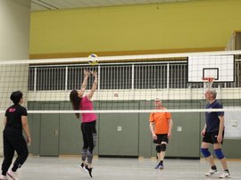 Team beim Volleyball spielen